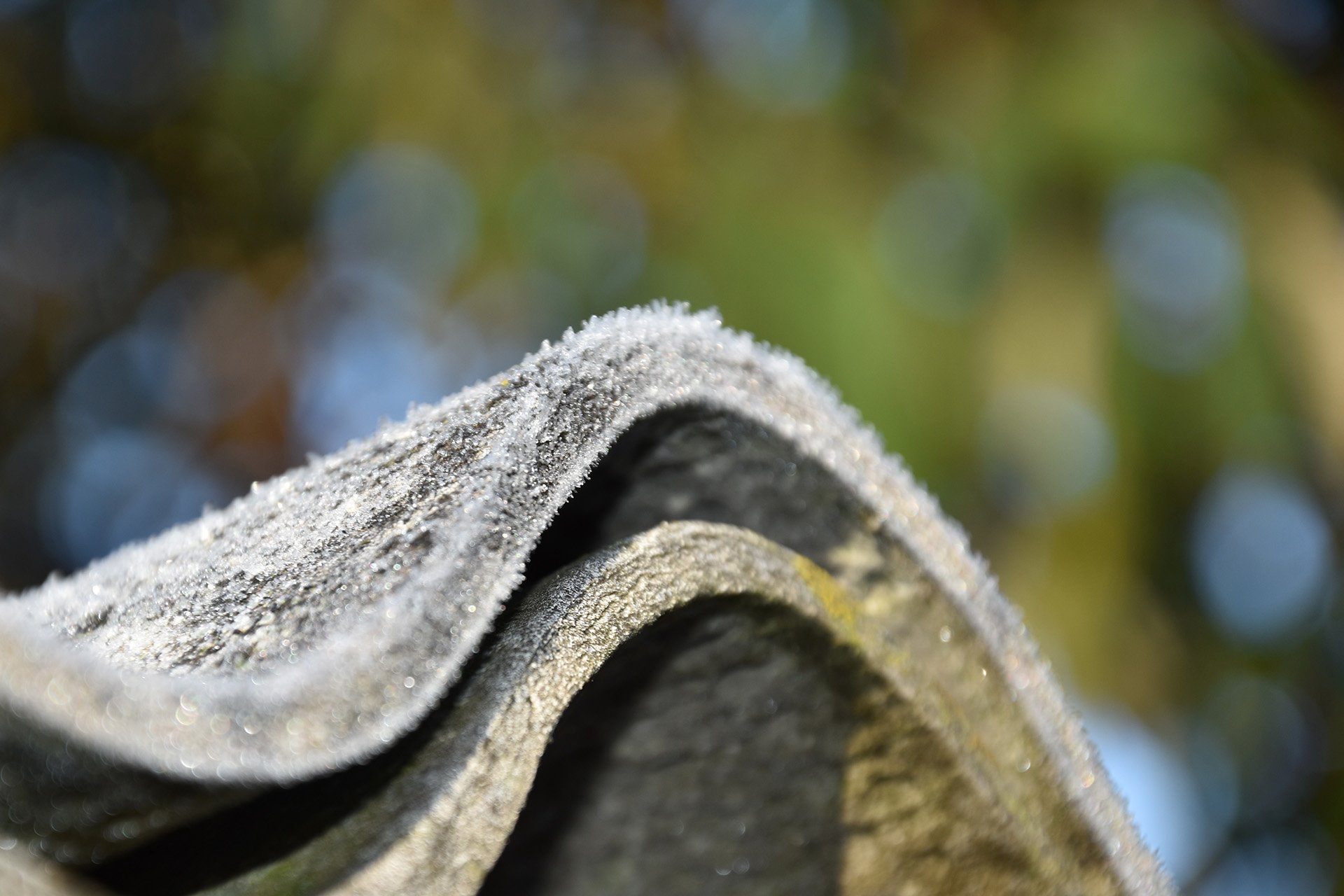 Nikon D5600, unbearbeitetes JPG-Foto, 1/200 Sek, f/5.6, ISO 160.